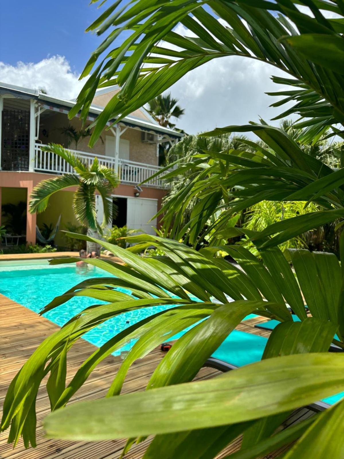 Le Petit Havre Tropical Guadeloupe, Gite, Massages & Spa Saint-Francois  Εξωτερικό φωτογραφία