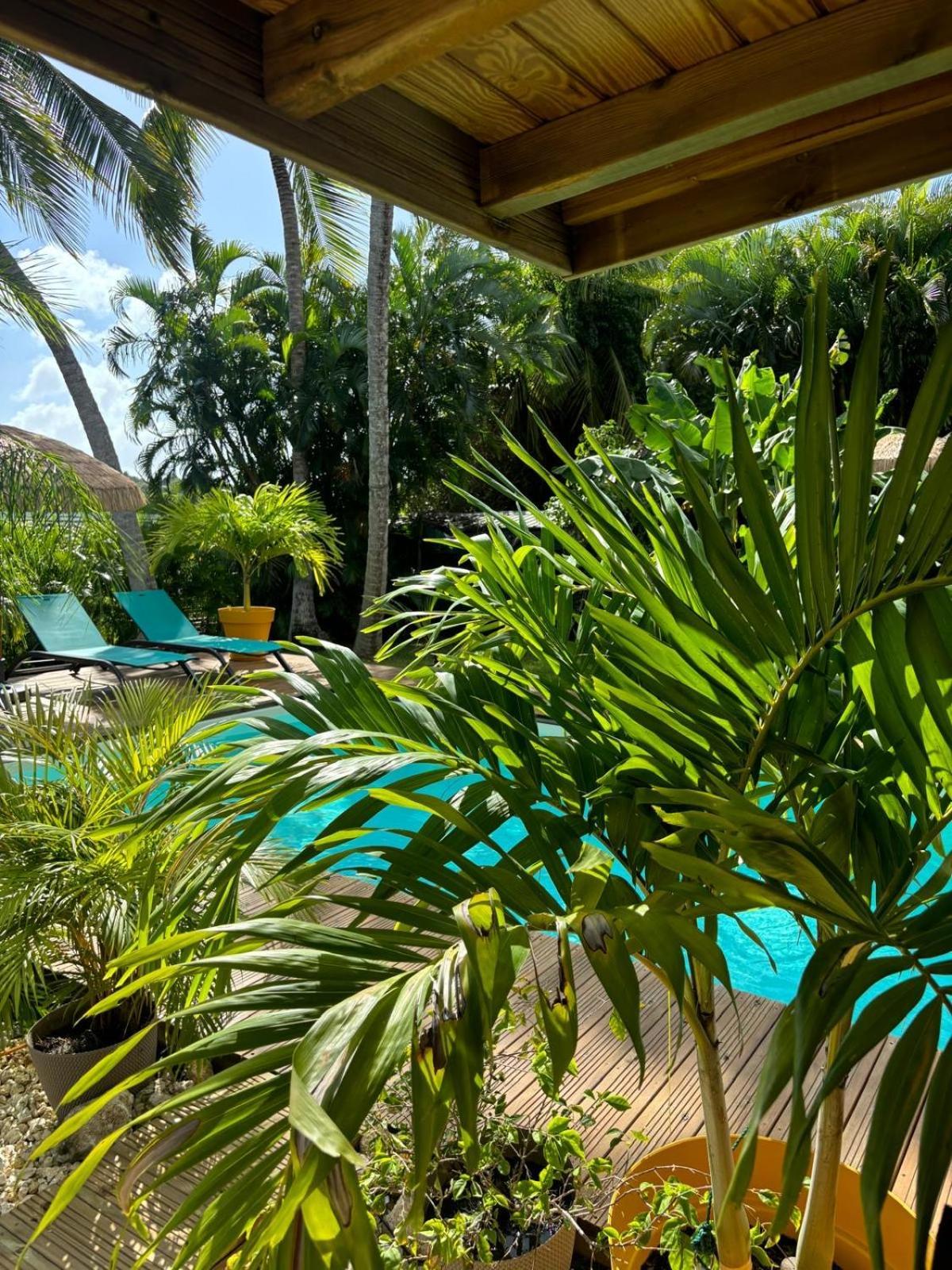 Le Petit Havre Tropical Guadeloupe, Gite, Massages & Spa Saint-Francois  Εξωτερικό φωτογραφία