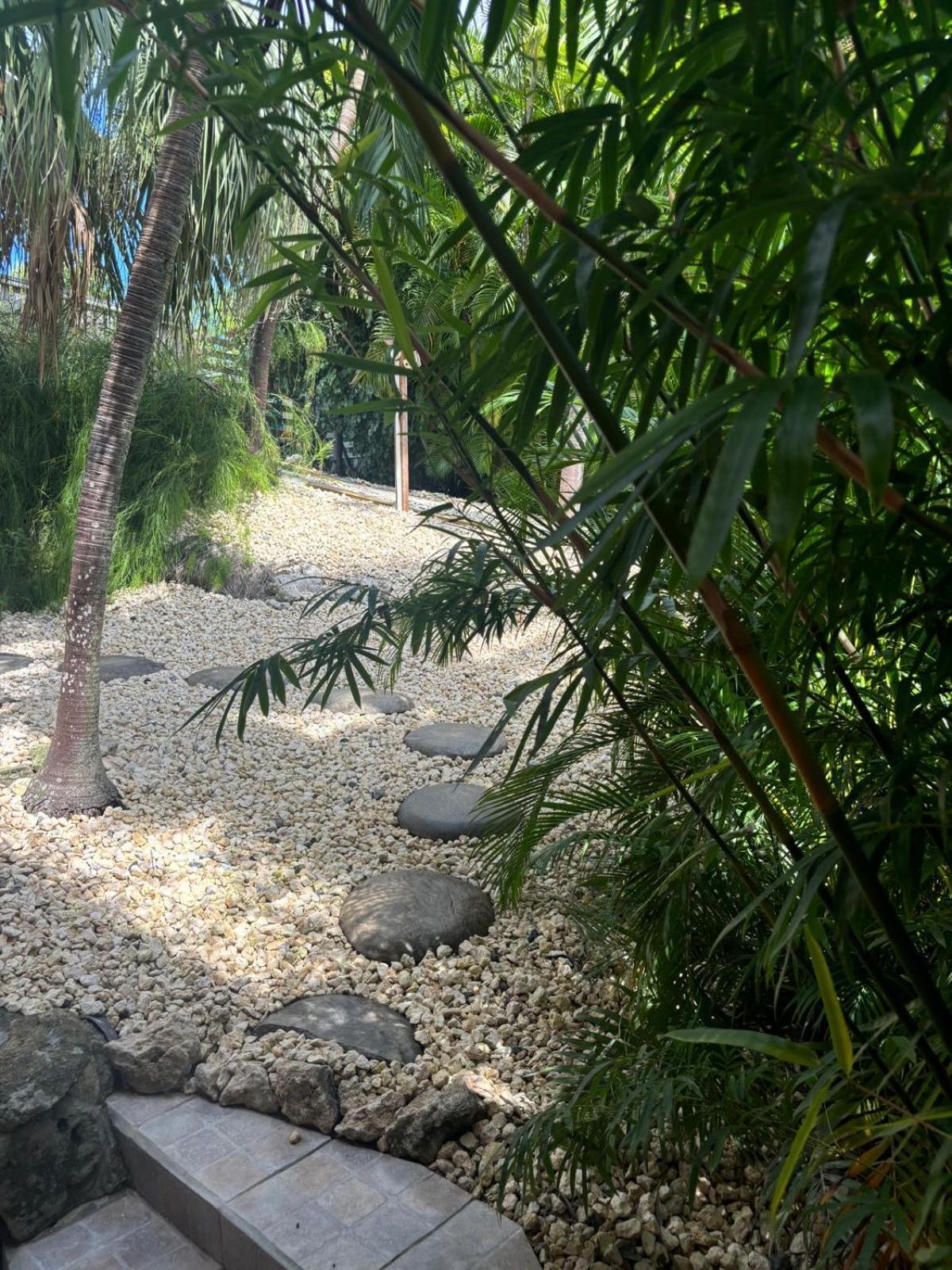 Le Petit Havre Tropical Guadeloupe, Gite, Massages & Spa Saint-Francois  Εξωτερικό φωτογραφία